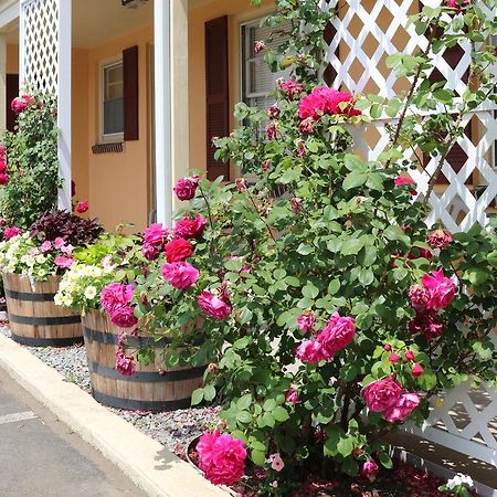 The Bay Willows Inn Middletown Exterior photo