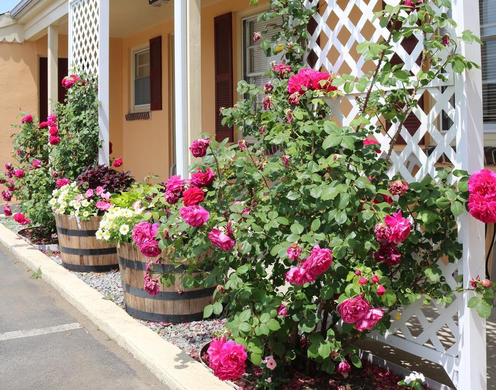 The Bay Willows Inn Middletown Exterior photo
